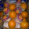 Our Products Gallery