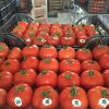 Our Products Gallery