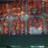 Our Products Gallery