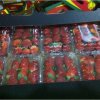 Our Products Gallery