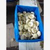 Our Products Gallery