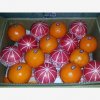 Our Products Gallery