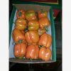 Our Products Gallery