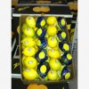 Our Products Gallery